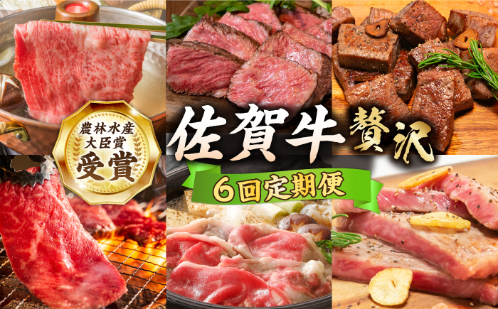 ＜2ヵ月に1回お届け＞【全6回定期便】佐賀牛 贅沢コース【田中畜産牛肉店】 [HBH136] 牛肉