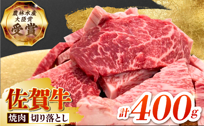 【2度の農林水産大臣賞】佐賀牛 焼肉用（カルビ・赤身）400g 【田中畜産牛肉店】佐賀牛 牛肉 切り落とし [HBH143]