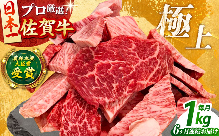 【全6回定期便】佐賀牛 焼肉用（カルビ・赤身） 1kg 【田中畜産牛肉店】 佐賀牛 牛肉 精肉 肉 切り落とし [HBH152]