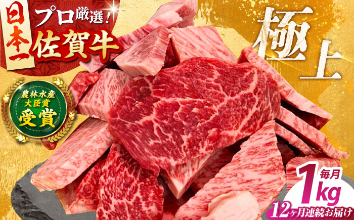 【全12回定期便】佐賀牛 焼肉用（カルビ・赤身） 1kg 【田中畜産牛肉店】 佐賀牛 牛肉 精肉 肉 切り落とし [HBH153]
