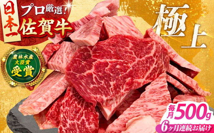 【全6回定期便】佐賀牛 焼肉用（カルビ・赤身） 500g 【田中畜産牛肉店】 佐賀牛 牛肉 精肉 肉 切り落とし [HBH155]