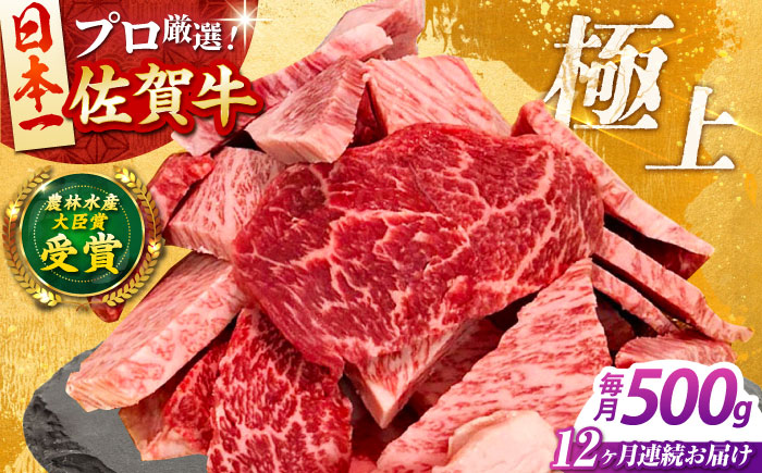 【全12回定期便】佐賀牛 焼肉用（カルビ・赤身） 500g 【田中畜産牛肉店】 佐賀牛 牛肉 精肉 肉 切り落とし [HBH156]