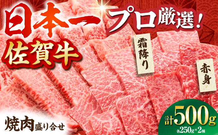 【2度の農林水産大臣賞】 佐賀牛 焼肉 盛り合わせ 500g（霜降り・赤身 各250g）【田中畜産牛肉店】 黒毛和牛 バーベキュー BBQ [HBH160]
