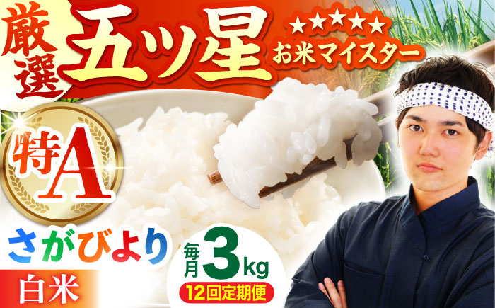 【全12回定期便】 さがびより 白米 3kg（3kg×1袋）【五つ星お米マイスター厳選】特A米 特A評価 [HBL103]