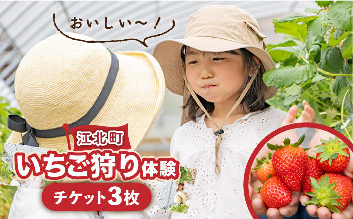 【先行予約】【五感で楽しむ】いちご狩り体験 チケット 3枚【花祭いちごの谷】 [HBN004]