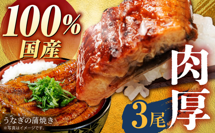 国産うなぎ 蒲焼き 3尾【魚正】 [HBV002] 鰻