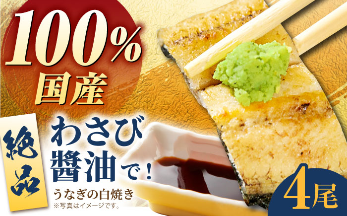 国産うなぎ 白焼き 4尾【魚正】 [HBV007] 鰻