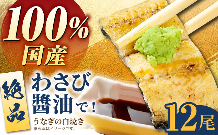 わさび醤油でいただく】国産うなぎ 白焼き 12尾【魚正】 [HBV008]: 江北町ANAのふるさと納税