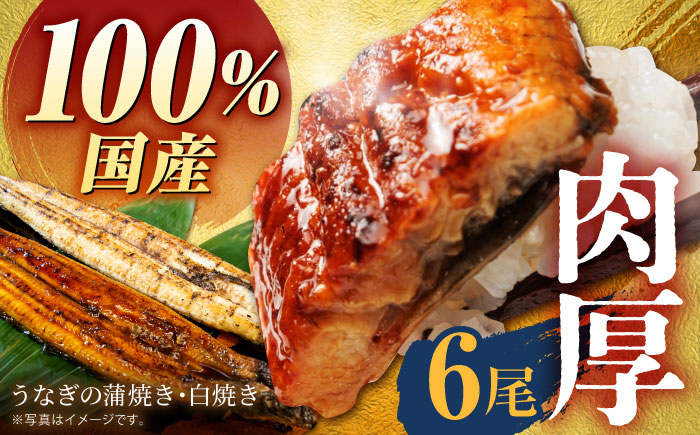 国産うなぎ 6尾セット（蒲焼き 3尾、白焼き 3尾）【魚正】 [HBV010] 鰻