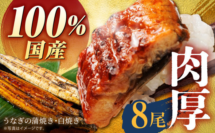 国産うなぎ8尾セット（蒲焼き4尾、白焼き4尾）【魚正】 [HBV011] 鰻