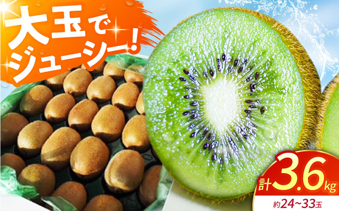 【先行予約】令和7年産 キウイフルーツ（ヘイワード）3.6kg【JAさが】 [HBZ001]