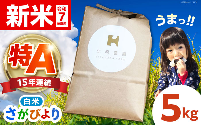 令和7年産 新米 白米 さがびより 5kg【北原農園】 特A米 特A評価 [HCA022]