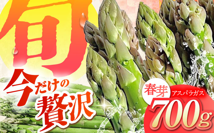 【新鮮でみずみずしい】春芽アスパラガス 700g【けいちゃん農園】 [HCC005]
