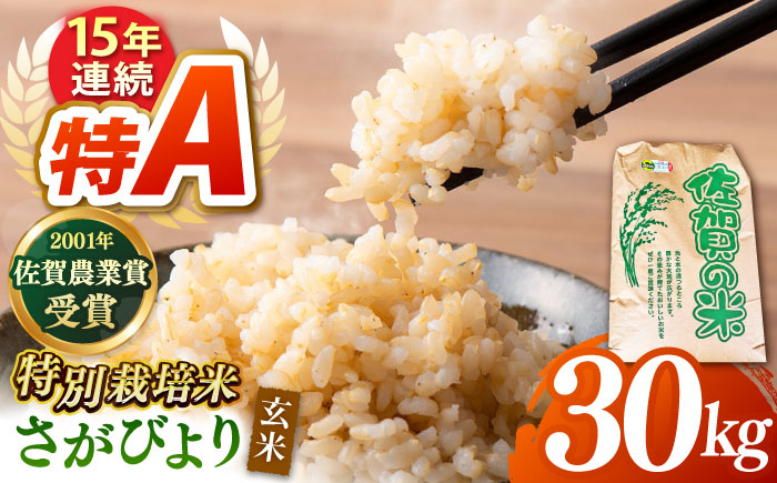 令和7年産 ももちゃんちのお米 さがびより 玄米 30kg【ももさき農産】 [HCG001]