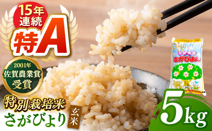 令和7年産 新米 ももちゃんちのお米 さがびより 玄米 5kg 【ももさき農産】 [HCG004]