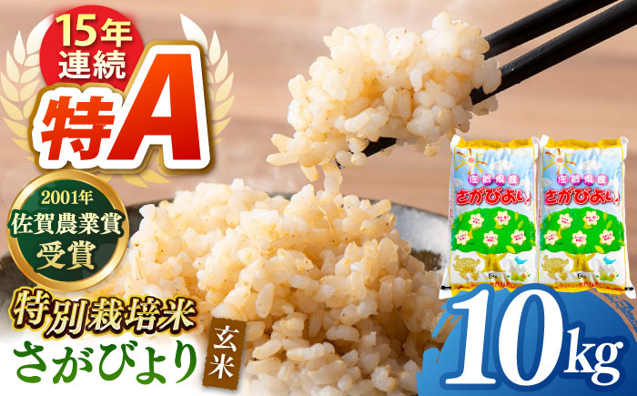 令和7年産 新米 ももちゃんちのお米 さがびより 玄米 10kg 【ももさき農産】 [HCG005]