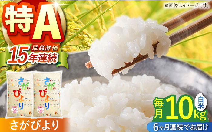 【全6回定期便】さがびより 白米 10kg（5kg×2袋）【株式会社 JA食糧さが】 [HCM003]