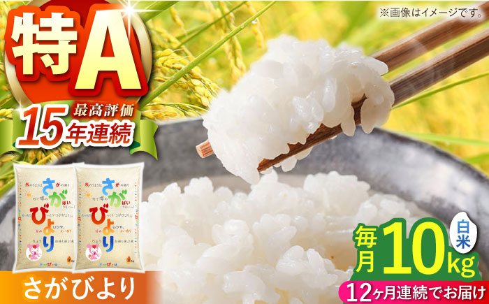 【全12回定期便】さがびより 白米 10kg（5kg×2袋）【株式会社 JA食糧さが】 [HCM004]