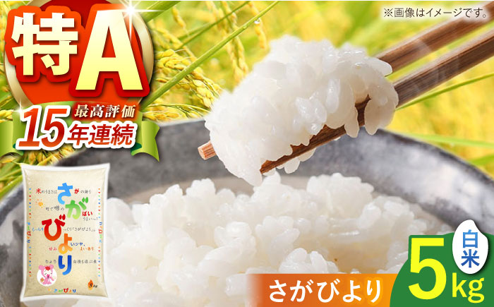 さがびより 白米 5kg 【株式会社 JA食糧さが】 [HCM013]