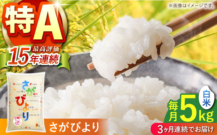 【全3回定期便】 さがびより 白米 5kg 【株式会社 JA食糧さが】 [HCM015]