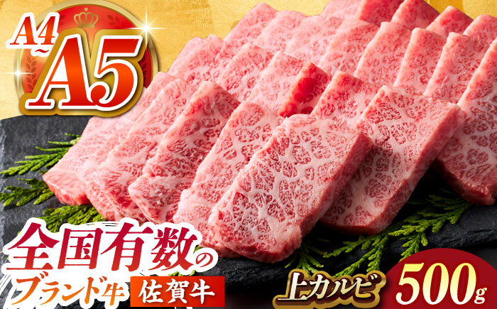 佐賀牛 上カルビ 500ｇ【がばいフーズ】 [HCS006]