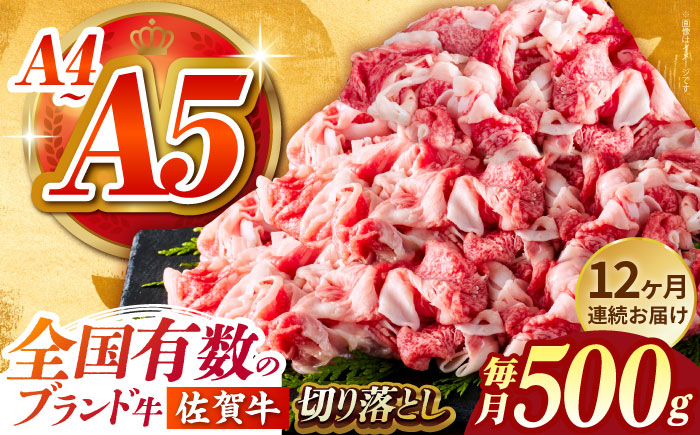 ＜全12回定期便＞佐賀牛切り落とし 500g【がばいフーズ】佐賀牛 A5 しゃぶしゃぶ すき焼き 牛丼 [HCS031]