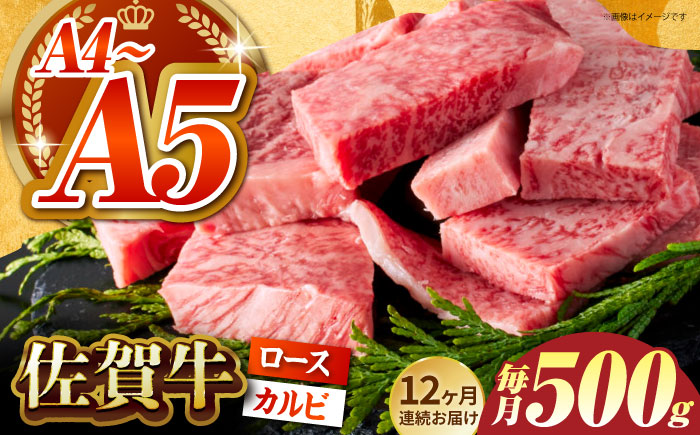 ＜全12回定期便＞佐賀牛 はしっこちゃん 500g（ロース カルビ）【がばいフーズ】佐賀牛 A5  A4 焼肉 カレー [HCS043]