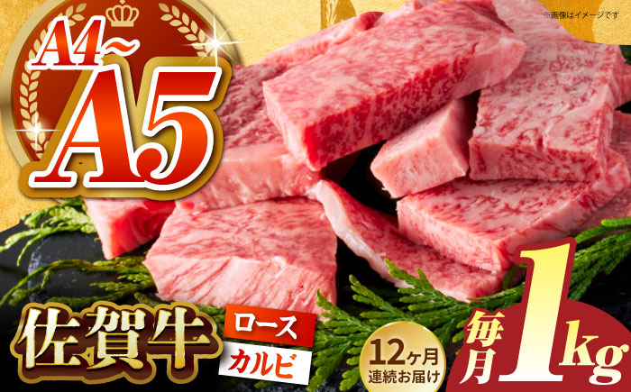 ＜全12回定期便＞佐賀牛 はしっこちゃん  計1kg（ロース カルビ）【がばいフーズ】佐賀牛 A5 A4 焼肉 カレー [HCS046]