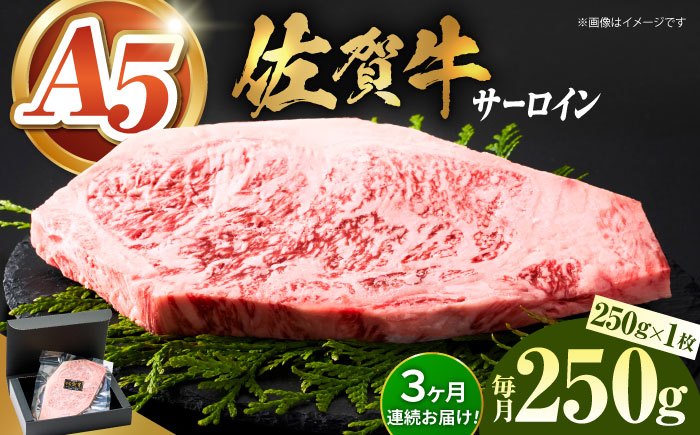 ＜全3回定期便＞佐賀牛サーロインステーキ 250ｇ【がばいフーズ】A5ランク 佐賀牛 牛肉 [HCS053]
