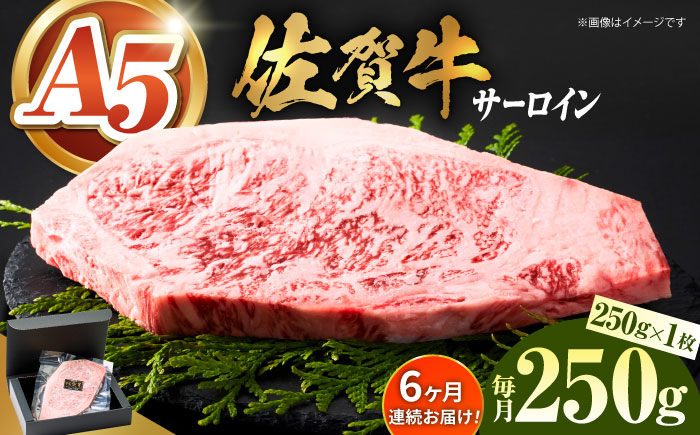 ＜全6回定期便＞佐賀牛サーロインステーキ 250ｇ【がばいフーズ】A5ランク 佐賀牛 牛肉 [HCS054]