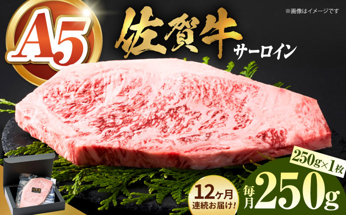 ＜全12回定期便＞佐賀牛サーロインステーキ 250g【がばいフーズ】A5ランク 佐賀牛 牛肉 [HCS055]