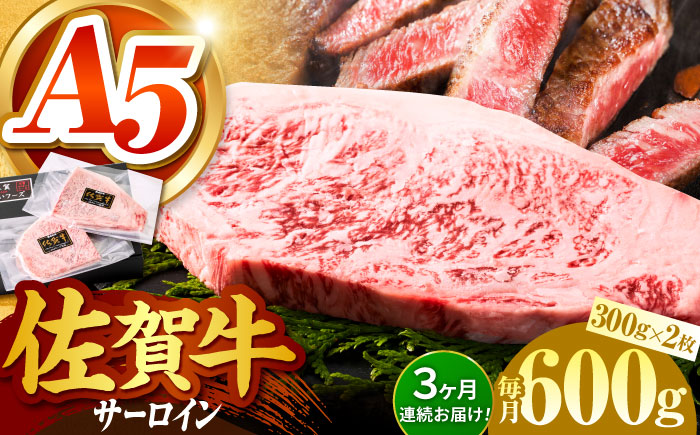 ＜全6回定期便＞佐賀牛 サーロインステーキ 計600g（300g×2パック）【がばいフーズ】A5ランク 佐賀牛 肉 牛肉 [HCS057]