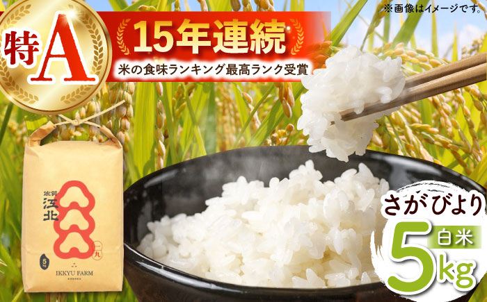 【ご飯でご飯が食べられる！】令和7年産 さがびより 白米 5kg（一等米）【一九FARM】 [HDC001]