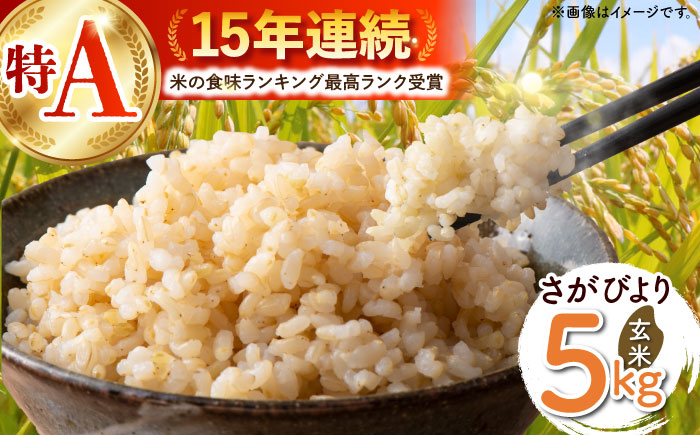 【ご飯でご飯が食べられる！】令和7年産 さがびより 玄米 5kg（一等米）【一九FARM】 [HDC002]