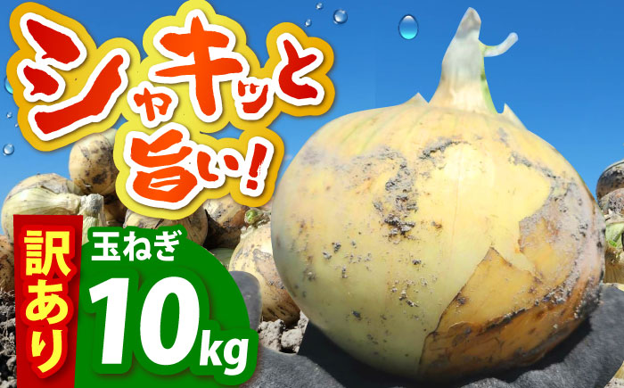 【今が旬!】 訳あり 玉ねぎ 10kg（小玉）【えぐちファーム】 不揃い たまねぎ [HDE002]