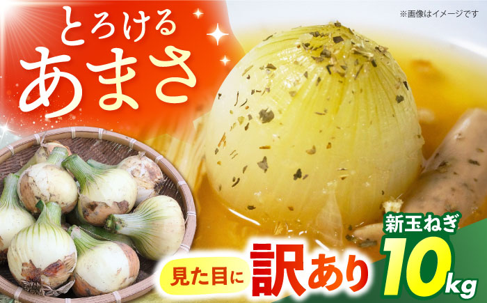 訳あり 新玉ねぎ 10kg  【あかるい農園 ミッチ?】 不揃い たまねぎ [HDF001]