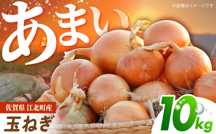 【先行予約】 玉ねぎ 10kg 【吉祥】 [HDG004]