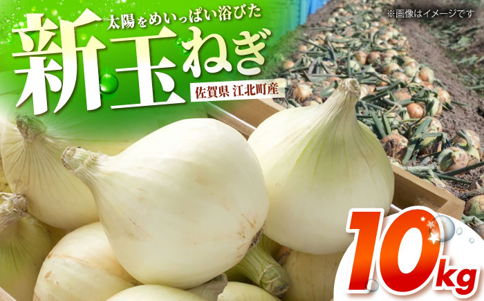【先行予約】 新玉ねぎ 10kg 【吉祥】 [HDG016]