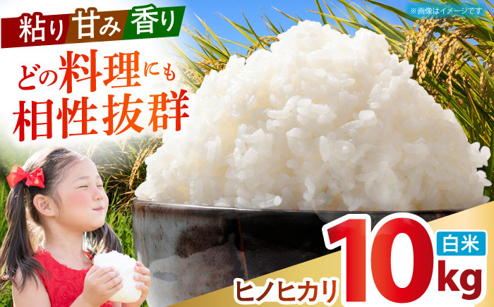 令和7年産 ヒノヒカリ 白米 10kg 【有限会社江北商会】 精米 米 おこめ [HDK001]