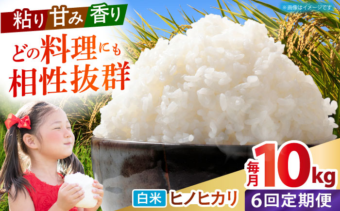 【全6回定期便】 ヒノヒカリ 白米 10kg 【有限会社江北商会】 [HDK003]