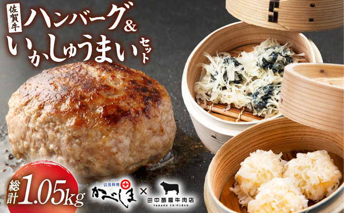 佐賀牛ハンバーグ・いかしゅうまいセット【田中畜産牛肉店・呼子かべしま直売所】 [HZY004]