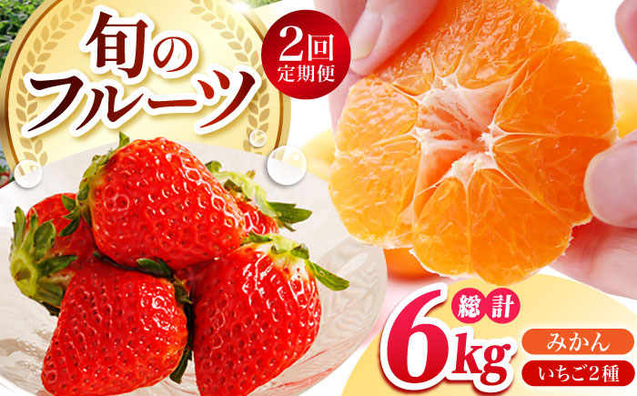 【全2回定期便】 旬のフルーツ定期便 （ みかん ・ いちご ） [HZY101]
