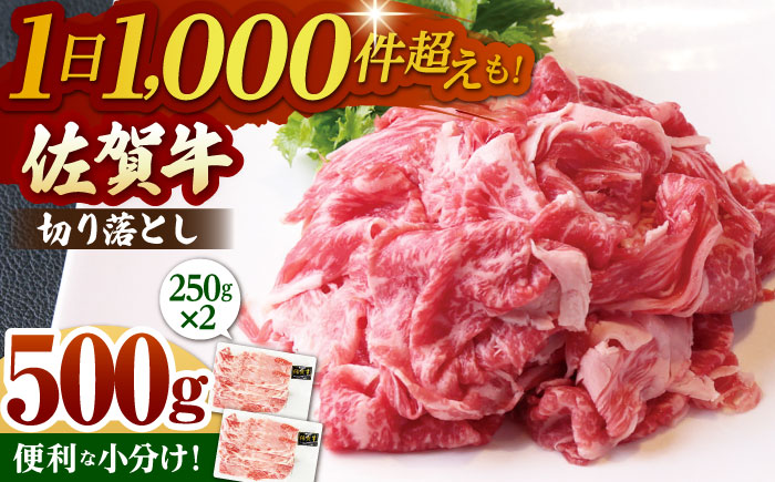 佐賀牛 切り落とし 500g (250g×2パック)[山下牛舎] 