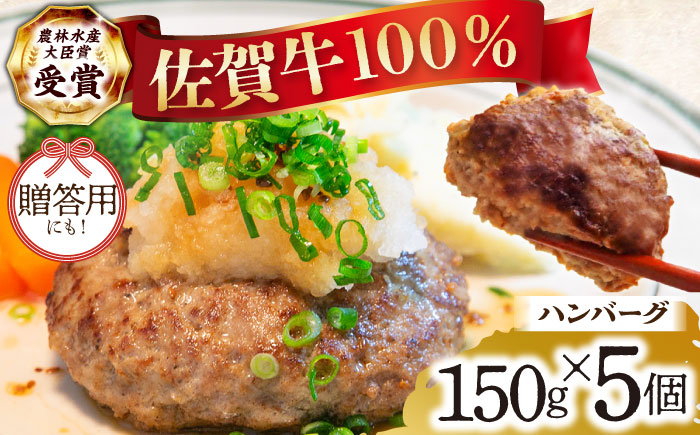 [農林水産大臣賞]佐賀牛 ハンバーグ 5個セット[田中畜産牛肉店] 