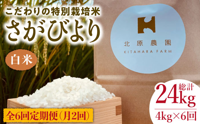 [月2回発送][全6回定期便]特別栽培米 令和5年産 新米 白米 さがびより 4kg[北原農園] 