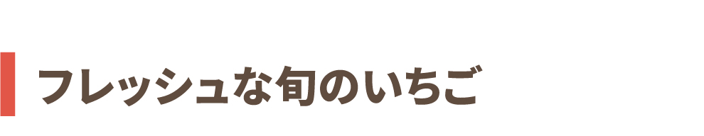 ～フレッシュな旬のいちご～