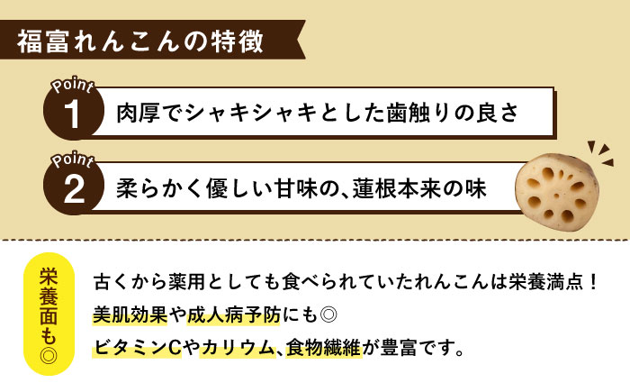 【年内発送】【節切り】（洗い）希少な オーガニック 福富 れんこん 1.5kg【中島農園】 佐賀県産 農家直送 直送 白石れんこん レンコン 蓮根 根菜 洗いれんこん 野菜 有機JAS 新鮮 白石町産 高品質 九州 佐賀県 白石町 [IBC003]