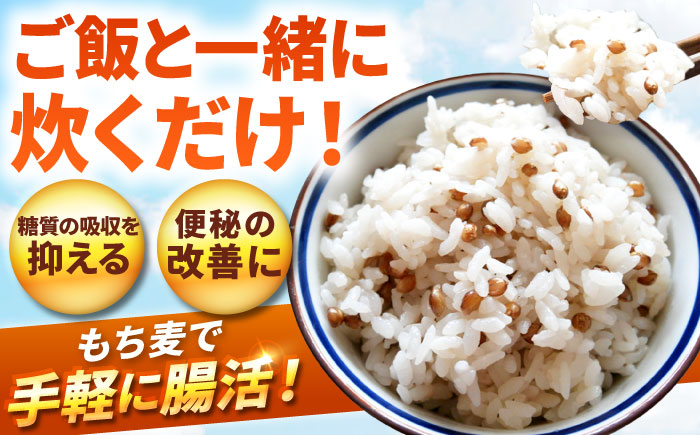 【令和6年度産】【腸内環境整える健康食品！】白石産もち麦900g 【道の駅しろいしカンパニー】ご飯 もち麦 [IAA003]