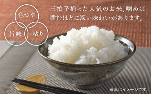 【令和6年度産】特別栽培米 白石産 ひのひかり（5kg）【道の駅しろいしカンパニー】白米 [IAA007]