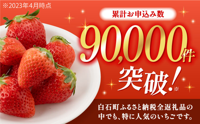【R8年1月以降発送】白石産いちご さがほのか 約150g×12パック（計1800g以上）【道の駅しろいしカンパニー】イチゴ [IAA038]